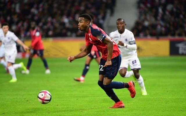 能力著称 能力著称