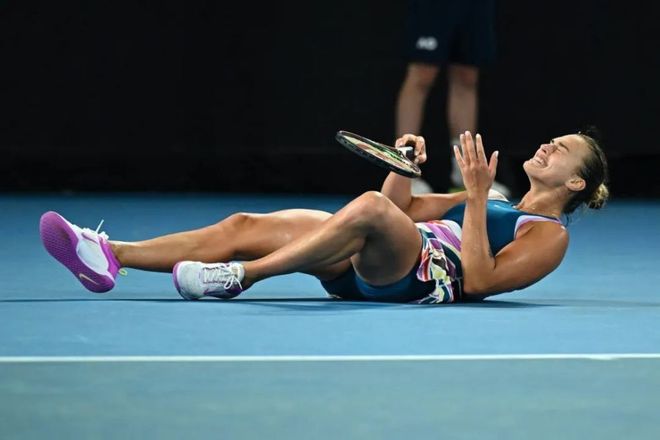 森林狼的整 森林狼的整