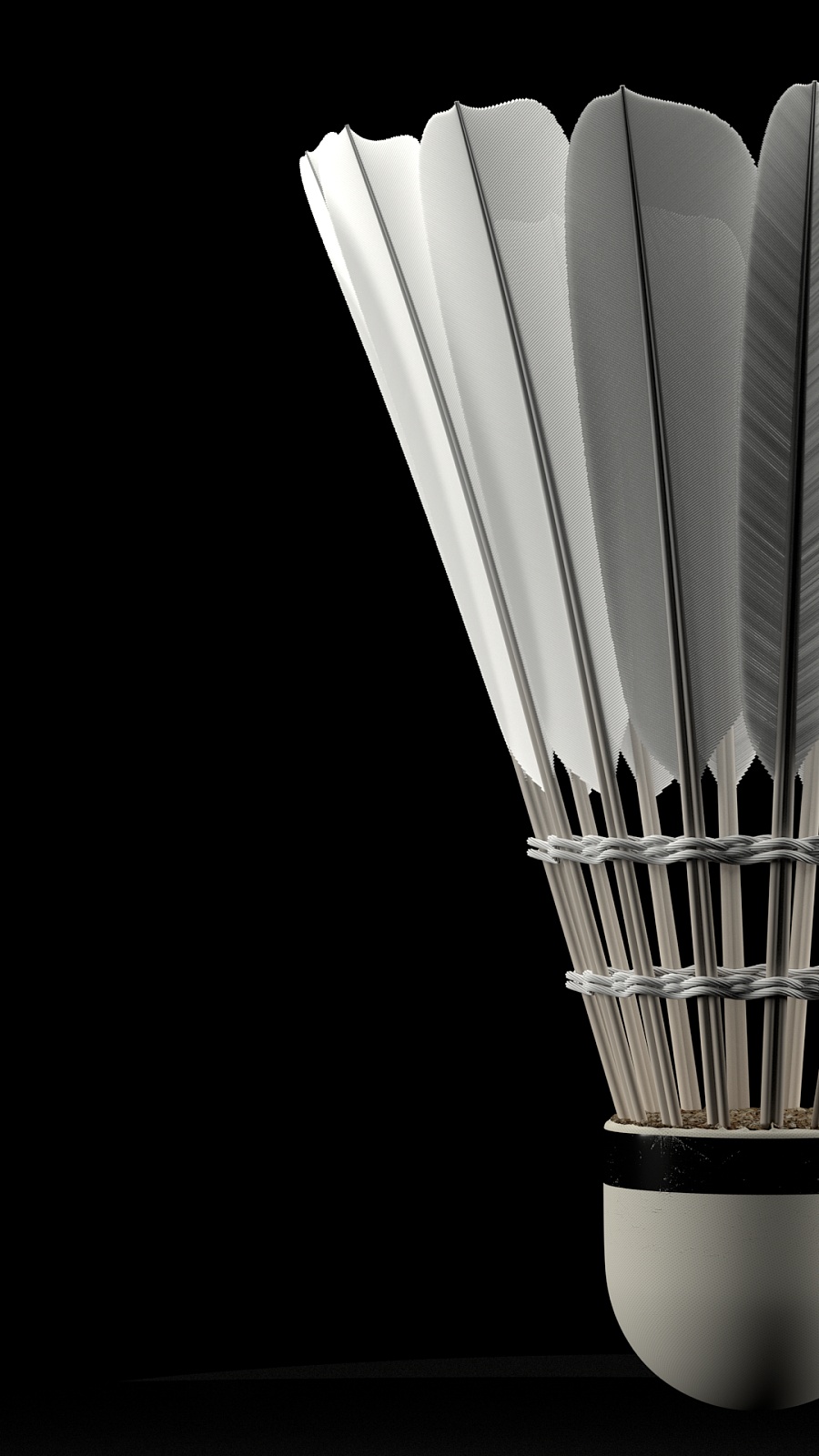 同年龄层次 同年龄层次