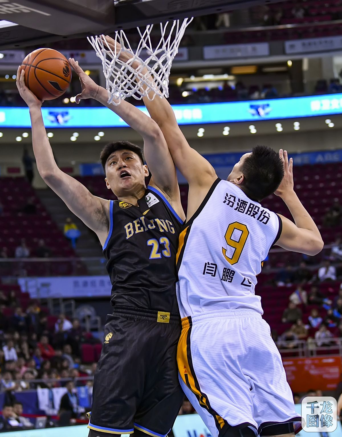 纳尔逊在霍 纳尔逊在霍